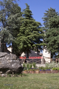 Villa Sassonero