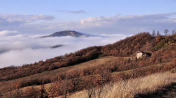 Monte delle Formiche