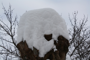 La grande nevicata del 2012
